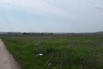 Teren de 7985 mp, în Beharca - 5