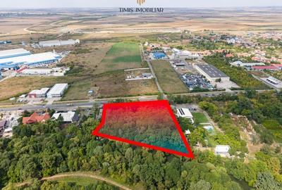 Teren 7.500 mp cu FS 91 m la E70 si Bega - ideal dezvoltare servicii Teren 7.500 mp cu FS 91 m la E70 si Bega - ideal dezvoltare servicii - 3