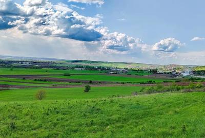 Teren de 3000 mp, în Central