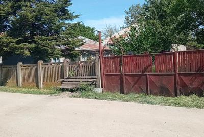 Casă cu 3 camere cu Teren 2588 Mp în Suhaia - 4