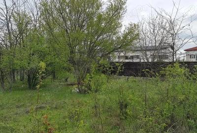 Teren de inchiriat-Ghencea-Gladiolelor-Drumul Craitelor- Sector 5-Bragadiru - 2