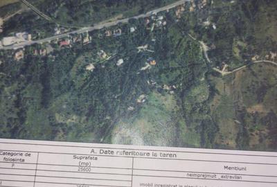 Teren extravilan Magura - 1