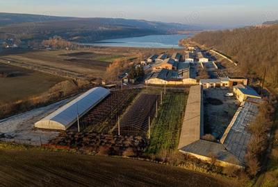 Spațiu comercial, de 50,000 mp, în Horgești - 14