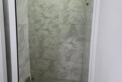 Apartament decomandat în Vitan