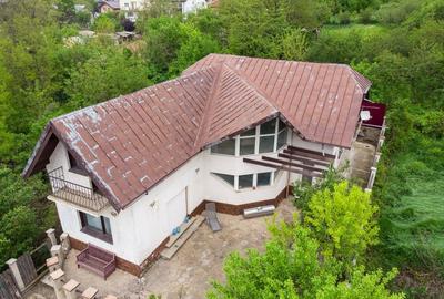 Spațiu comercial, de 190 mp, în Valea Lupului - 4
