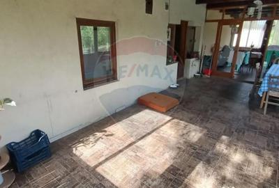 Casă cu 3 camere cu Teren 3000 Mp în Copalnic - 2