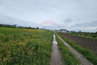 Teren de 1495 mp, în Dobreni - 13