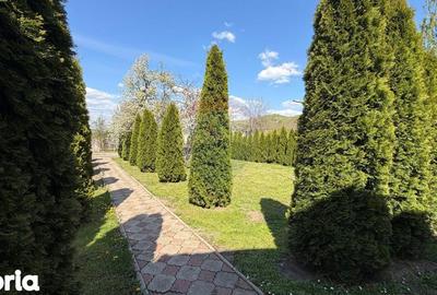 Casă cu 3 camere cu Teren 788 Mp în Central - 3