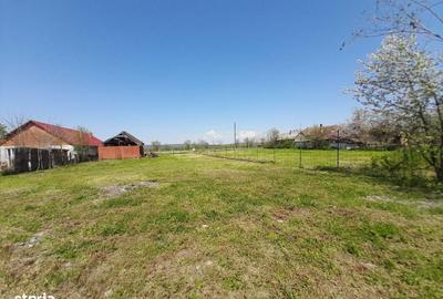 Teren de 1981 mp, în Chișlaz - 2