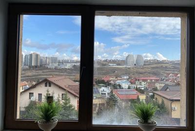 Apartament cu 2 camere decomandat în Câmpului - 4