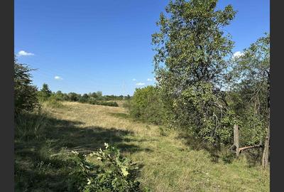 Vânzare teren Reșița: 17260 mp, Calea Caransebeșului - 2