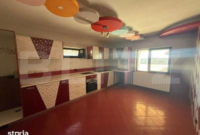 Casă cu 9 camere cu Teren 1000 Mp în Comișani - 12
