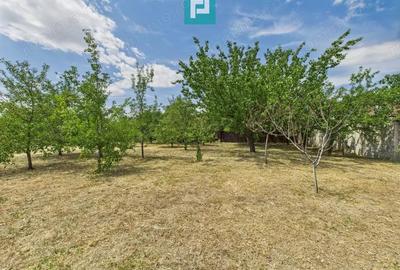 Casa, Com.Irato?u. Jud.Arad Casa, Com.Irato?u. Jud.Arad - 6