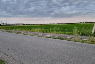 Teren de 30000 mp, în Filipeștii de Târg - 6