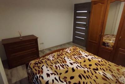 Apartament cu 2 camere, mobilat în Siloz - 4