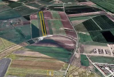 Vanzare teren agricol, Arad acces DJ Arad-Iratos- 1,29 ha - 2
