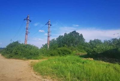 Teren intravilan 5 hectare comasat Bocsa 6 euro mp negociabil - 15