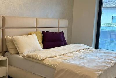 Apartament cu 4 camere decomandat, mobilat în Iancu Nicolae - 11