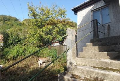 Casă  individuala cu teren generos - 3