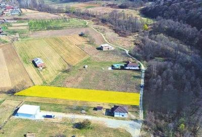 BUDESTI - TEREN 2550 MP - 9