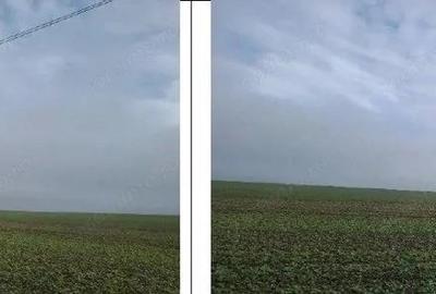 Teren extravilan Orbeasca, ID: R2836912 - 8