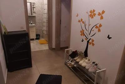 Apartament 2 camere Drumul Valea Larga - 2