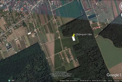 Teren Construcții intravilan de 1250 mp, în Ciofliceni - 1