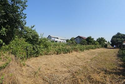 Vanzare teren Clinceni strada Principala - 6