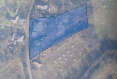 Casa in Miorcani - 5