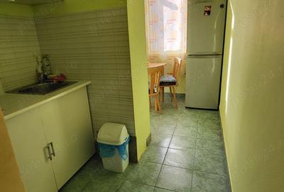Apartament cu 3 camere semidecomandat în Baia Sprie - 5