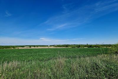Teren intravilan 5000 mp, str.Sondei, Peris - 3