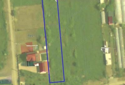 Teren de 2998 mp, în Remetea Mare - 3