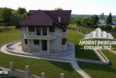 Casă cu 5 camere cu Teren 3200 Mp în Muntenii de Jos - 4