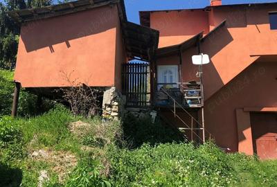 Casă cu 3 camere în Bezdead - 6