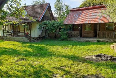 Cabana zona de deal în Apuseni - 7