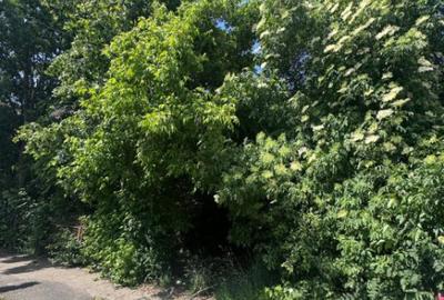 Teren de 4200 mp, în Rădăuți - 1