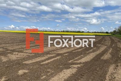Teren Agricol | Opurtunitate investitie | Sananadrei - ID V713 - 3