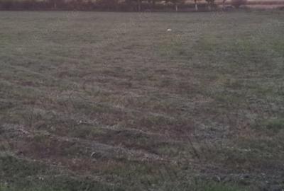 Spațiu comercial, în Cărpiniș - 2