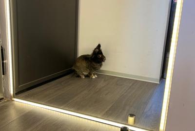 Apartament cu 2 camere semidecomandat, mobilat în Universitate - 41