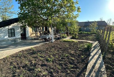 Casă cu 3 camere cu Teren 1167 Mp în Băneasa - 12