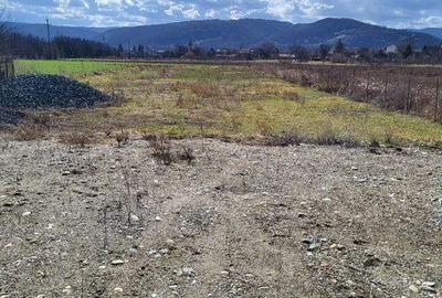 Teren de 1200 mp, în Central - 2