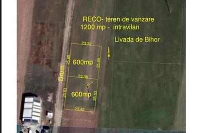 Teren Construcții intravilan de 1200 mp, în Livada de Bihor