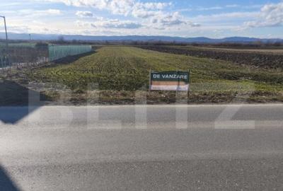Teren intravilan ,4900 mp , 25ml front, Fratautii Vechi, Rad - 10