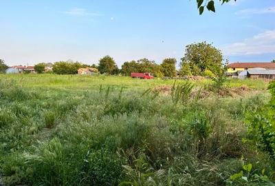 Teren Construcții intravilan de 2500 mp, în Bălcești - 3