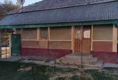 Casă cu 4 camere în Boiu - 4