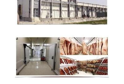 FABRICA DE CARNE CRAIOVA - 1