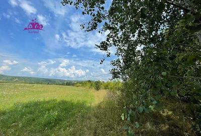 Teren de vanzare in Meziad. - 2