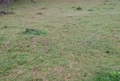 Teren în Valea - 3
