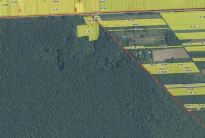 Teren de 4701 mp, în Snagov - 7