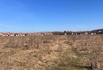 Teren de 527 mp, în Sânpetru - 6